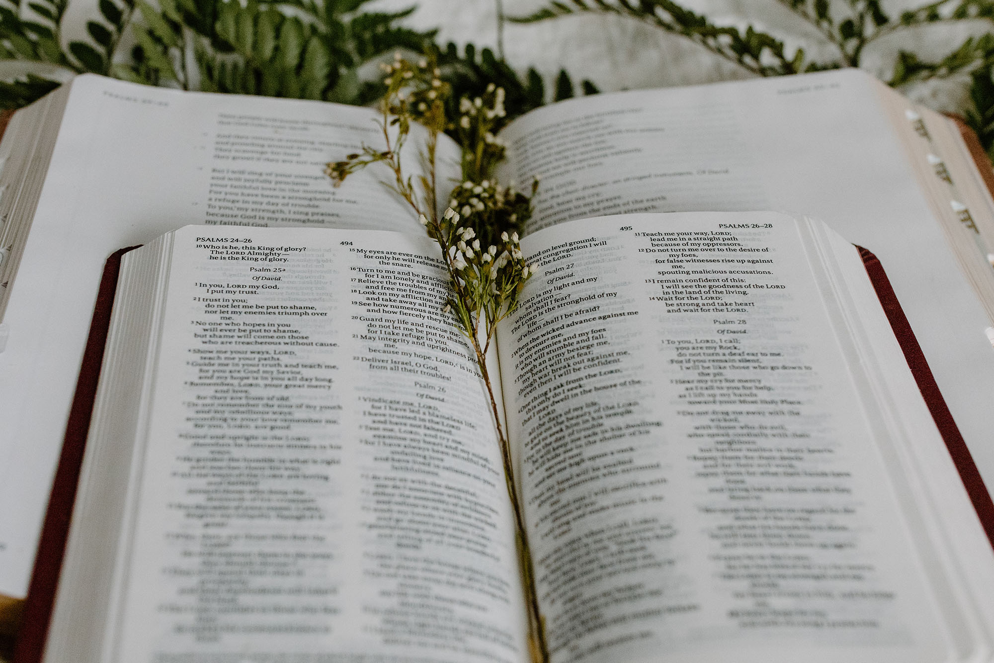 How to Deepen Your Reading of Scripture?